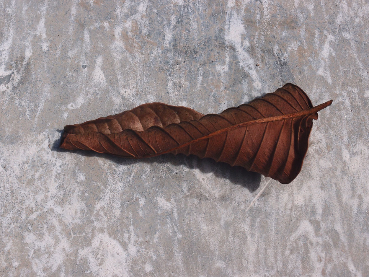 2016-01-22 02 Blick auf Rio (Foto)